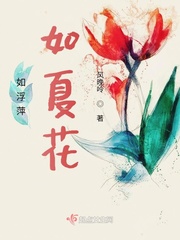 如浮萍如夏花